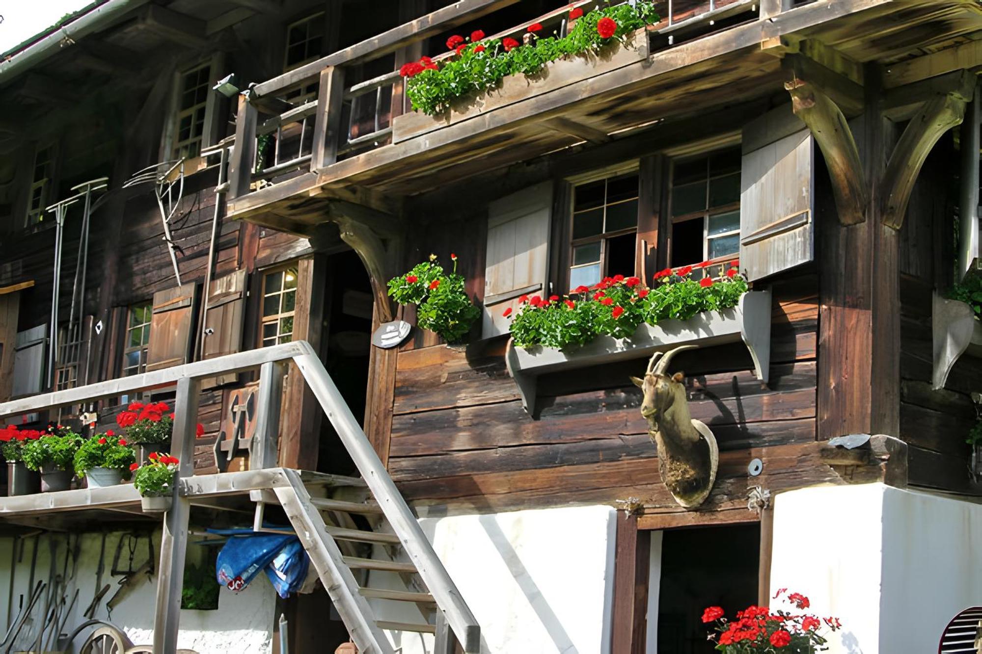 Ferienhaus Voelkle Hinterzarten Extérieur photo